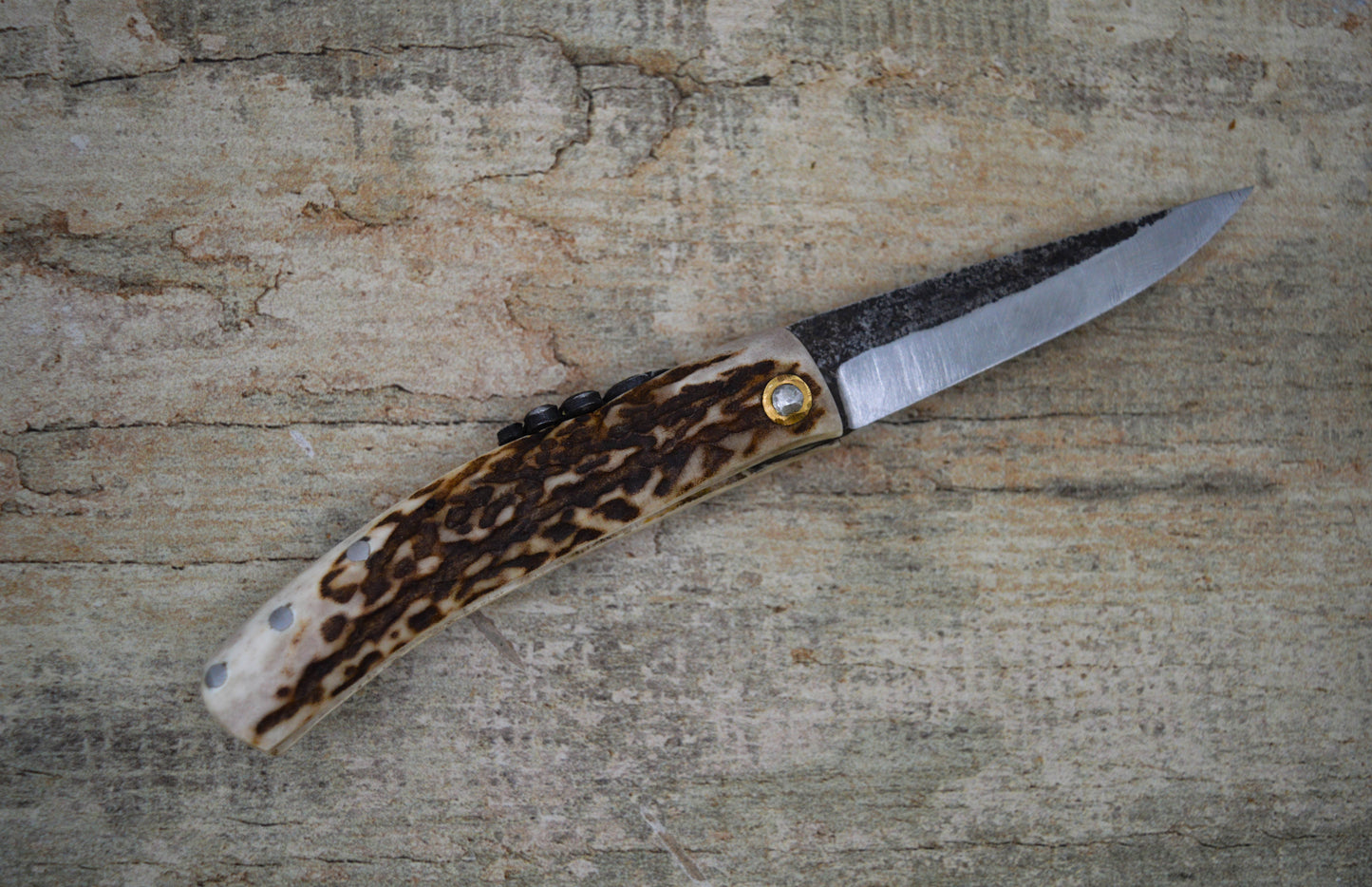 Primitive Mountain Man Friction Folder / Stag and Amboyna Burl handle / UK Legal Carry