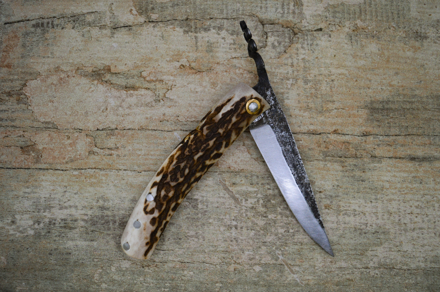 Primitive Mountain Man Friction Folder / Stag and Amboyna Burl handle / UK Legal Carry