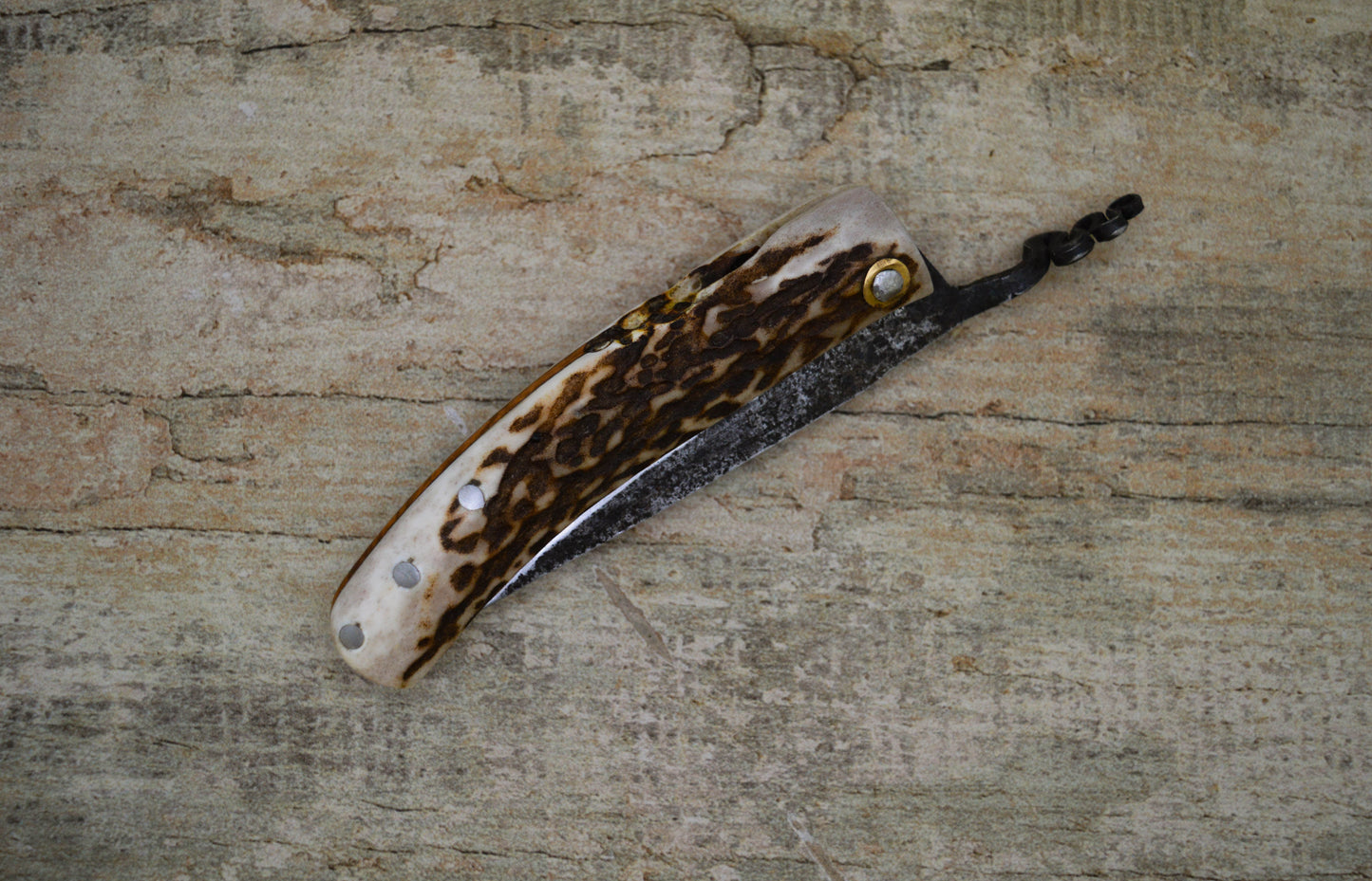 Primitive Mountain Man Friction Folder / Stag and Amboyna Burl handle / UK Legal Carry