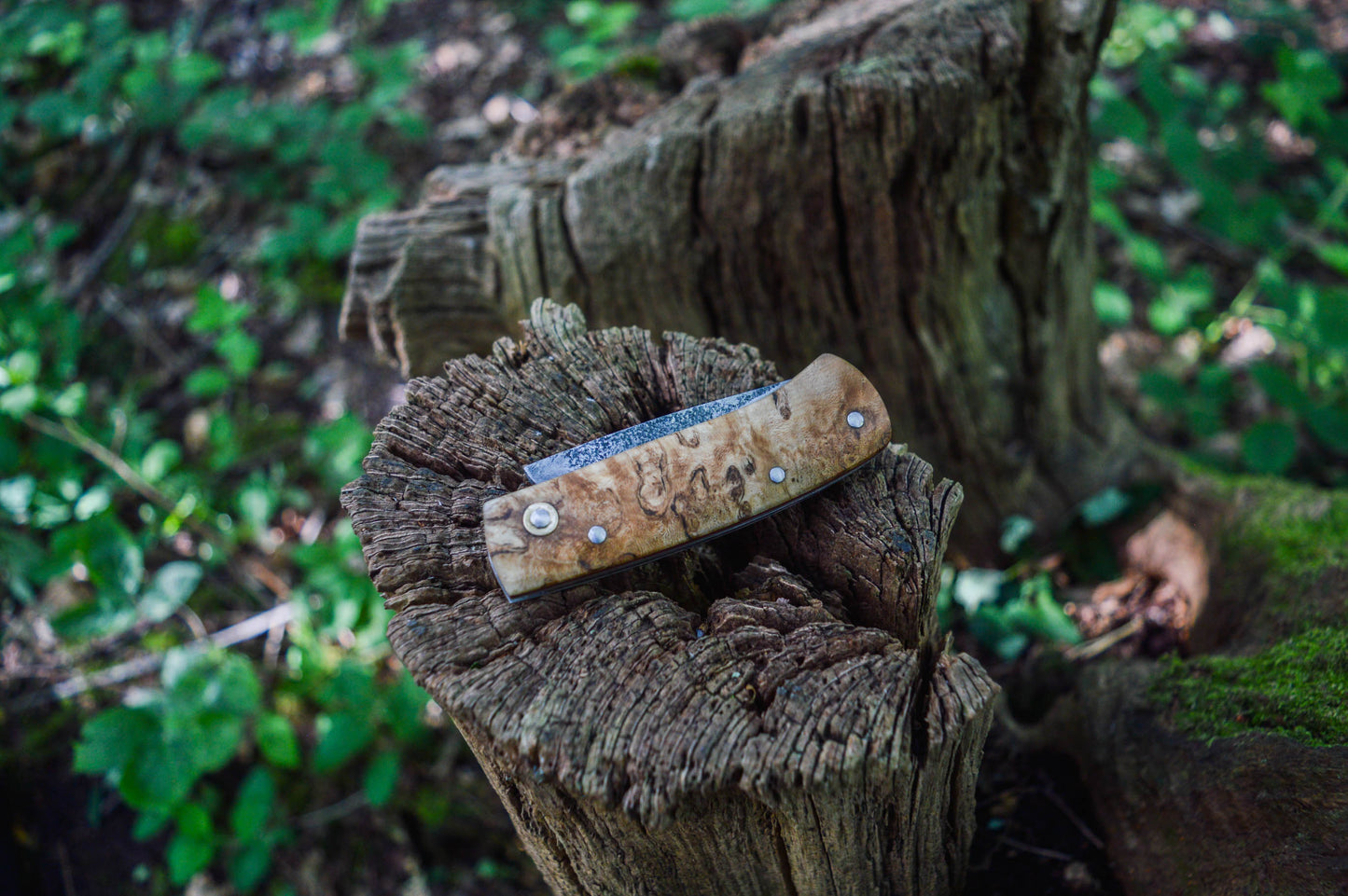 Hand-forged Slipjoint Puukko / Heavy Duty Folding Knife / Sheffcut Carbon Steel blade with Stabilized Holly Burl Scales / UK Legal Pocketknife