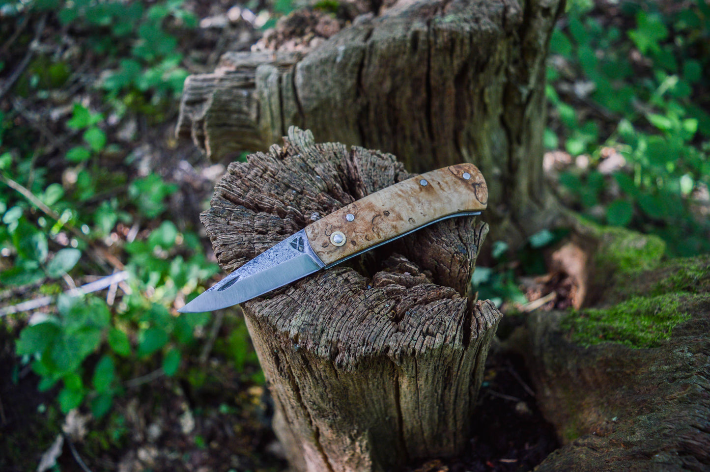 Hand-forged Slipjoint Puukko / Heavy Duty Folding Knife / Sheffcut Carbon Steel blade with Stabilized Holly Burl Scales / UK Legal Pocketknife