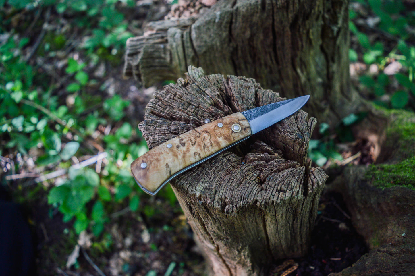 Hand-forged Slipjoint Puukko / Heavy Duty Folding Knife / Sheffcut Carbon Steel blade with Stabilized Holly Burl Scales / UK Legal Pocketknife