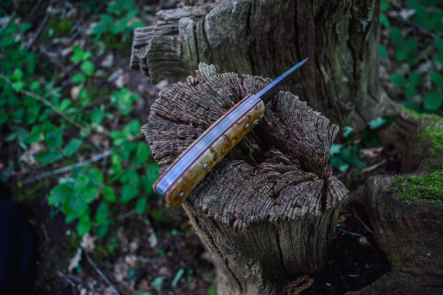 Hand-forged Slipjoint Puukko / Heavy Duty Folding Knife / Sheffcut Carbon Steel blade with Stabilized Holly Burl Scales / UK Legal Pocketknife