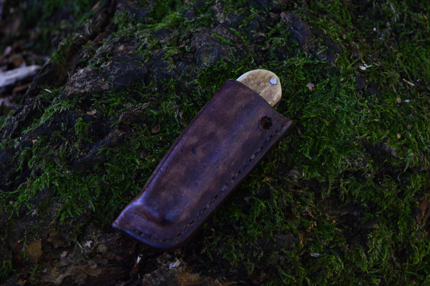 Hand-forged Wharncliffe Slipjoint / UK Legal Folding Knife / Carbon Steel Blade with Ash Burl & Stag Handle