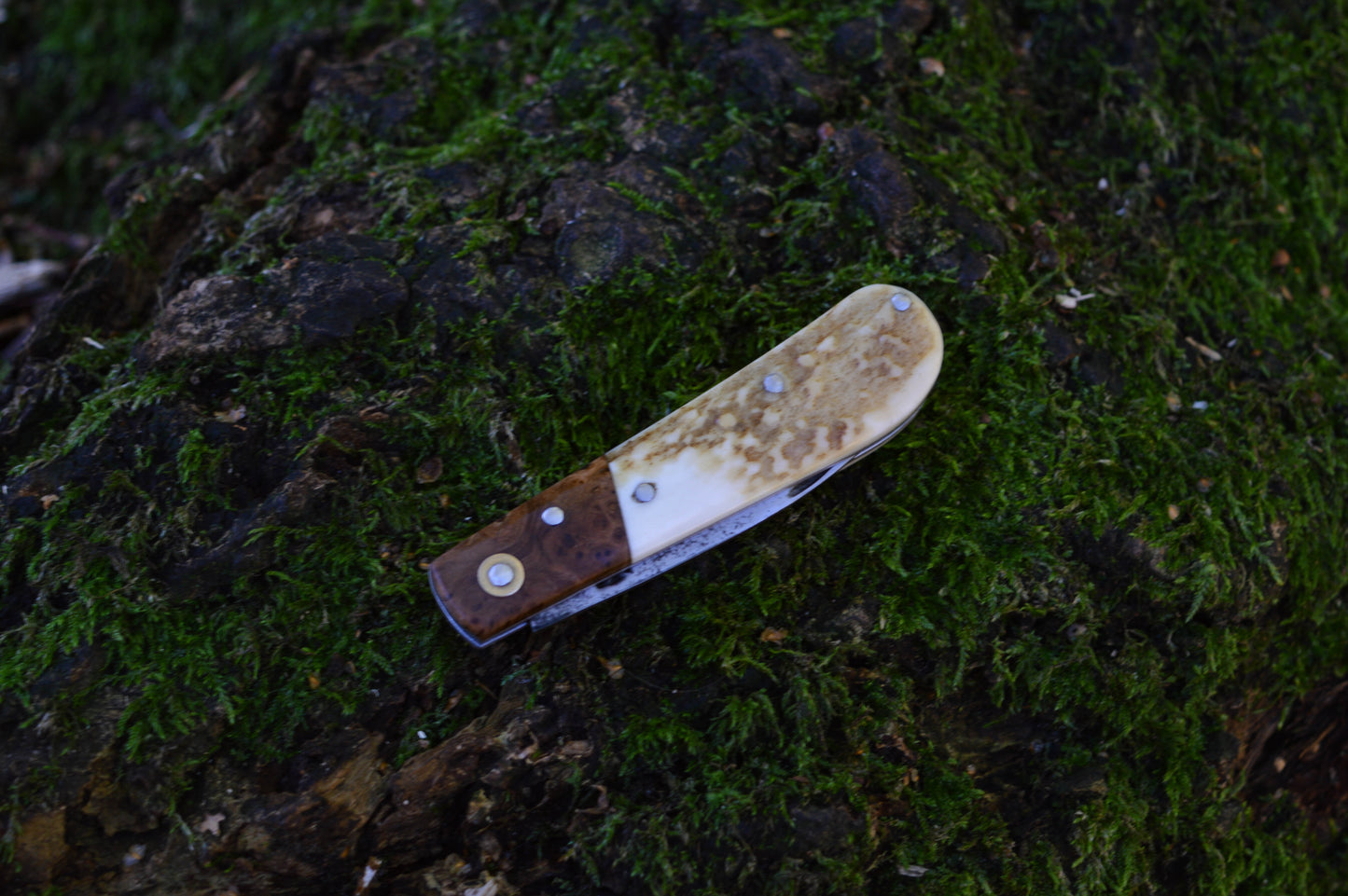 Hand-forged Wharncliffe Slipjoint / UK Legal Folding Knife / Carbon Steel Blade with Ash Burl & Stag Handle