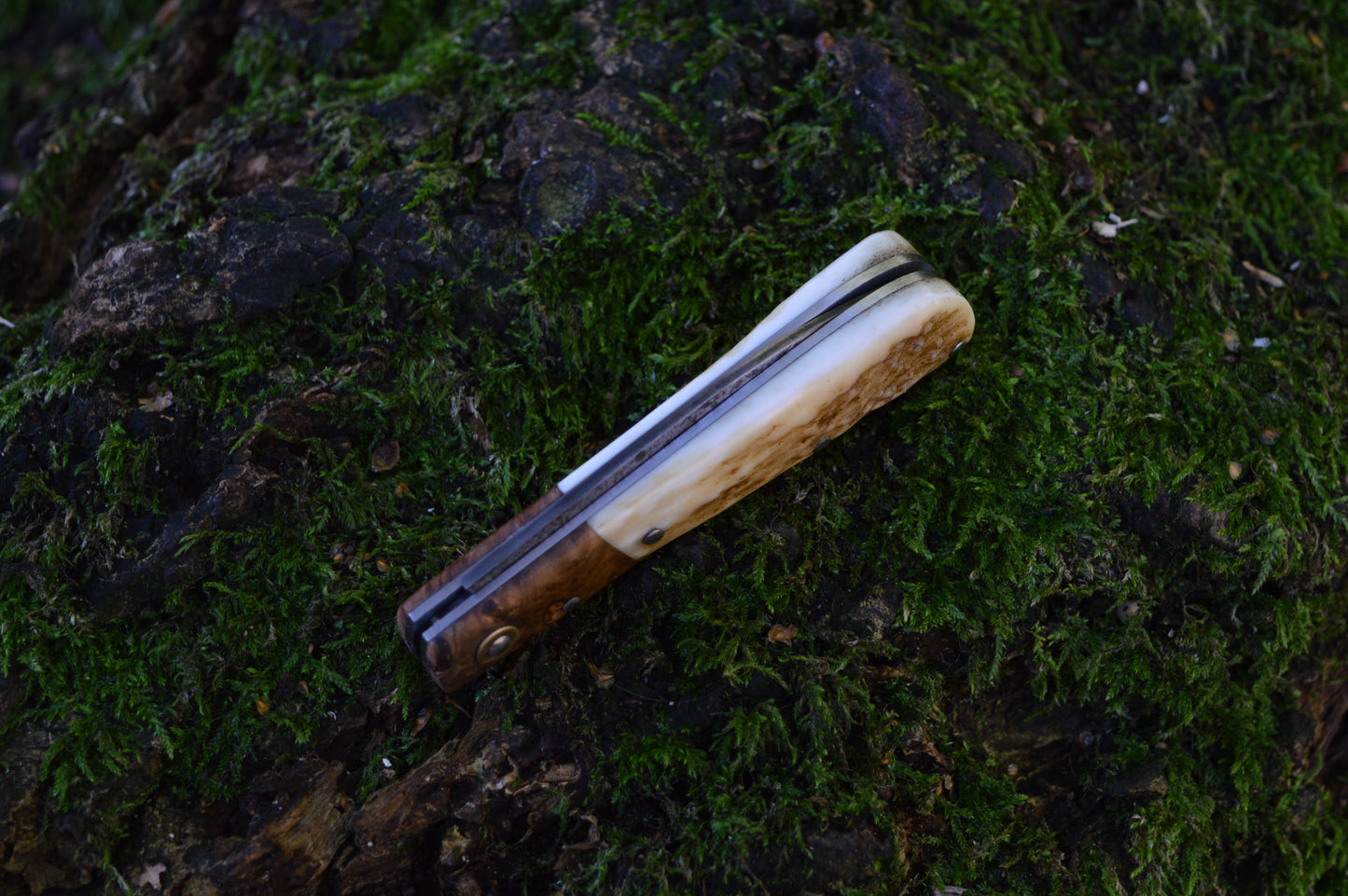 Hand-forged Wharncliffe Slipjoint / UK Legal Folding Knife / Carbon Steel Blade with Ash Burl & Stag Handle