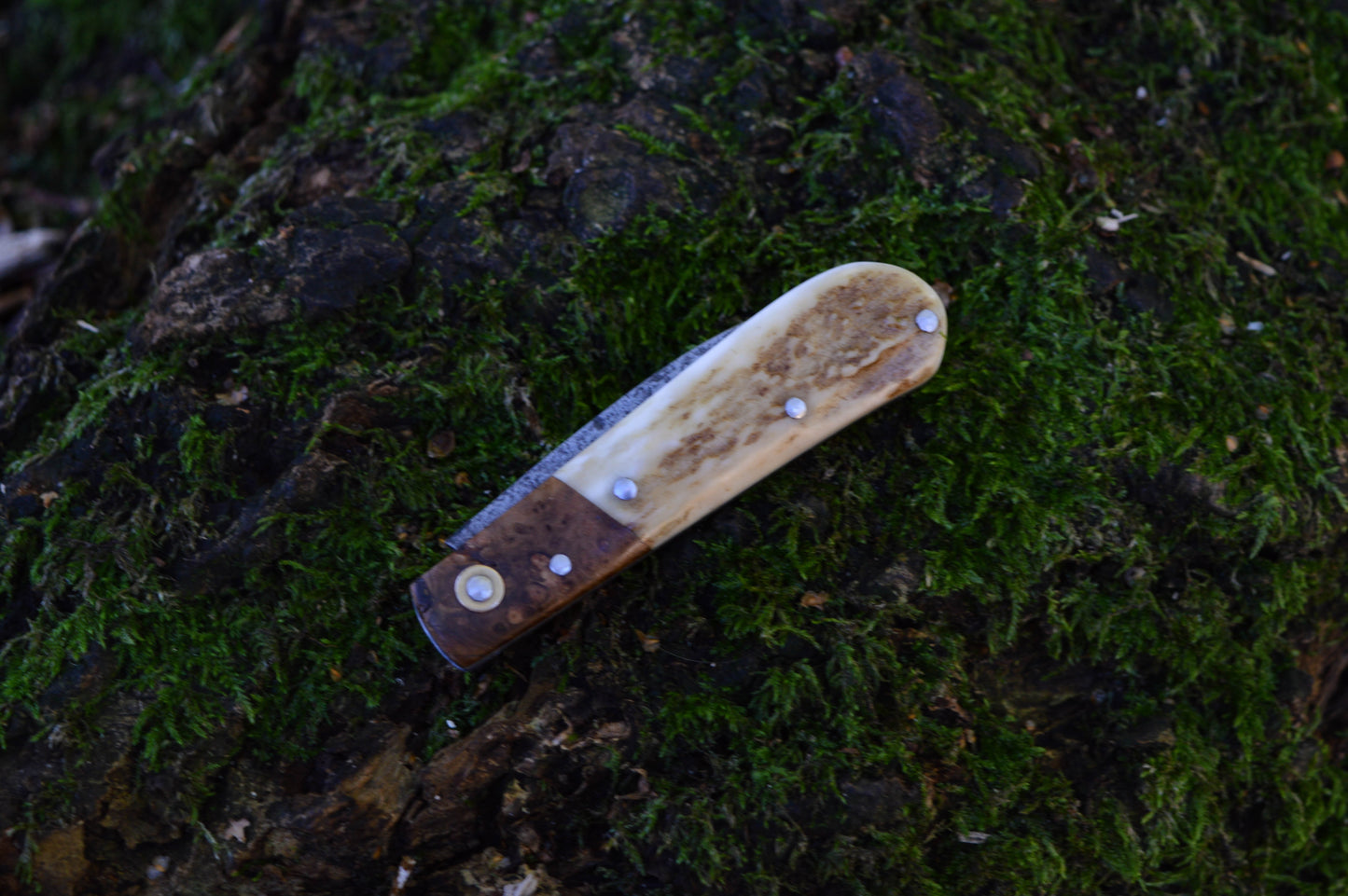 Hand-forged Wharncliffe Slipjoint / UK Legal Folding Knife / Carbon Steel Blade with Ash Burl & Stag Handle