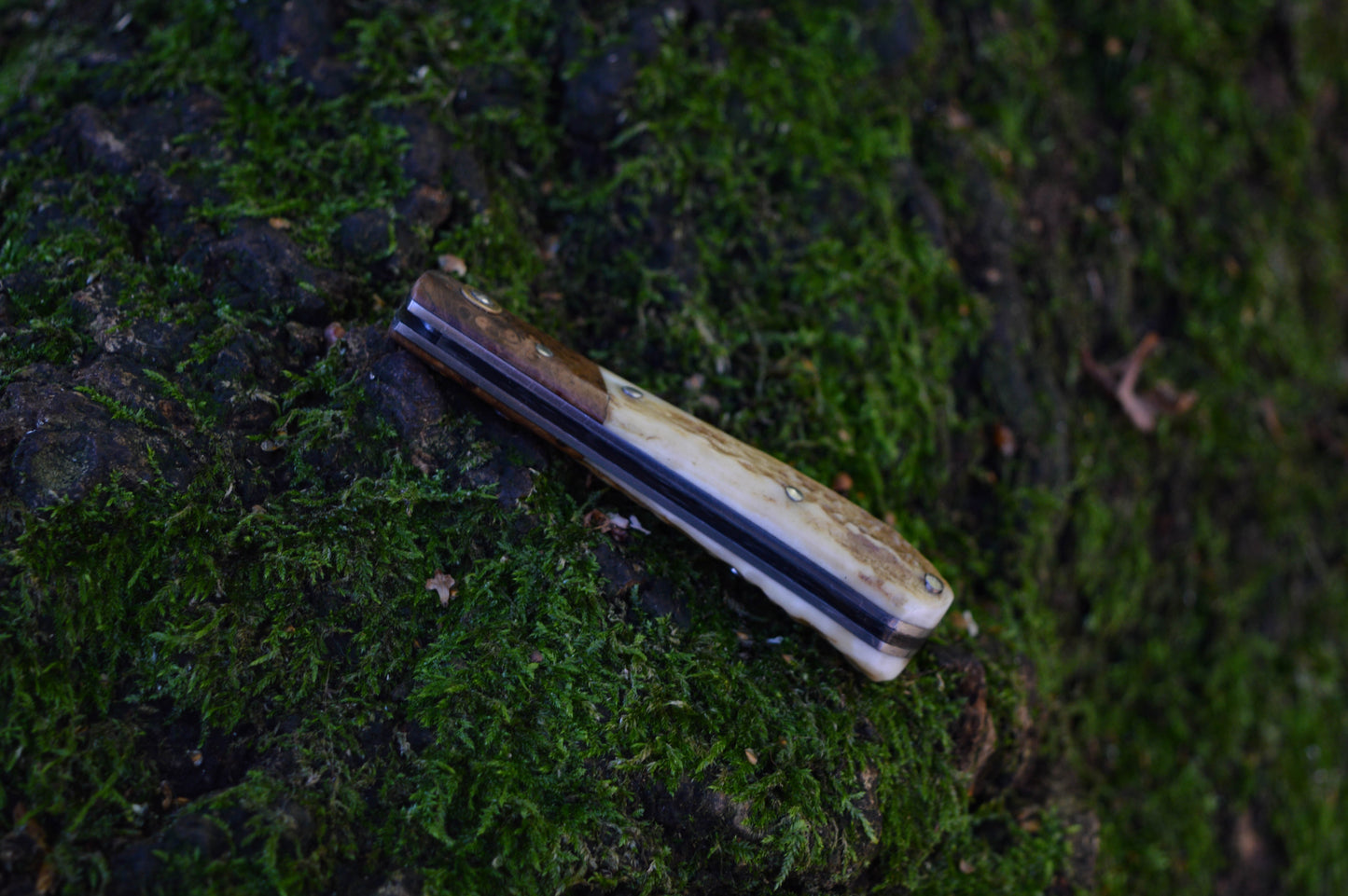 Hand-forged Wharncliffe Slipjoint / UK Legal Folding Knife / Carbon Steel Blade with Ash Burl & Stag Handle