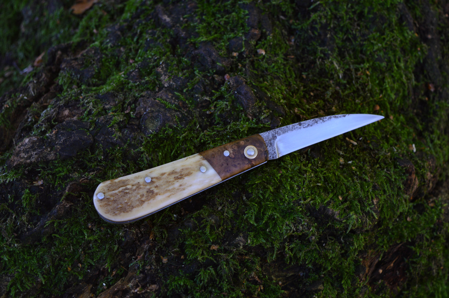 Hand-forged Wharncliffe Slipjoint / UK Legal Folding Knife / Carbon Steel Blade with Ash Burl & Stag Handle