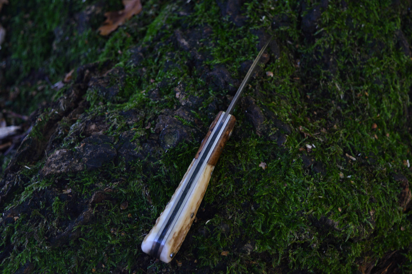 Hand-forged Wharncliffe Slipjoint / UK Legal Folding Knife / Carbon Steel Blade with Ash Burl & Stag Handle