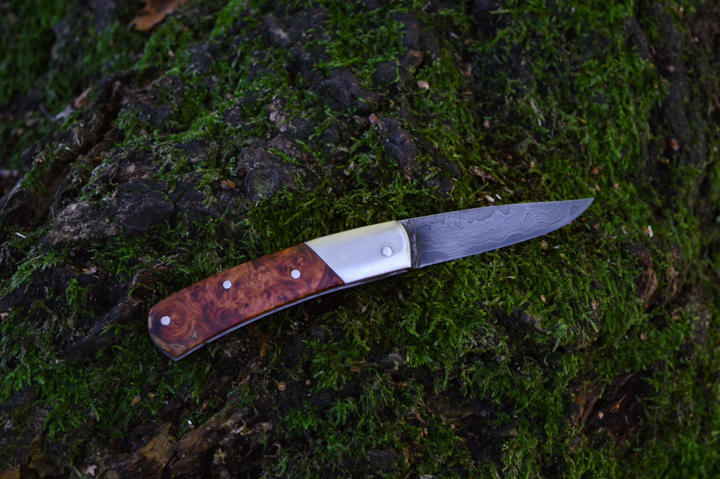 Hand-forged slipjoint folding knife / Pattern-welded Go-Mai Damascus Blade / Stainless Steel Liners & Bolsters / Amboyna Burl Scales