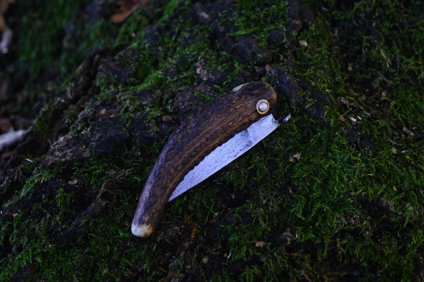 Primitive Mountain Man Friction Folder / Wrought Iron San Mai Blade / Stag handle / UK Legal Carry