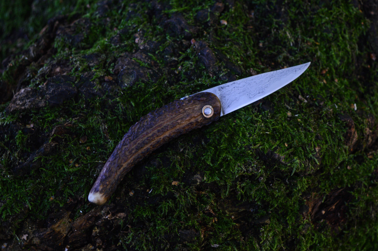 Primitive Mountain Man Friction Folder / Wrought Iron San Mai Blade / Stag handle / UK Legal Carry