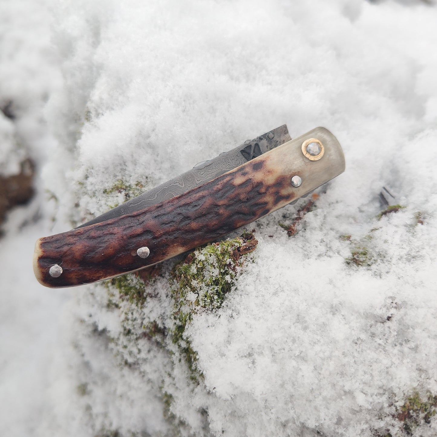 Hand-Forged San Mai Damascus Slipjoint with Bog Oak & Stag Antler Scales / UK Legal Carry