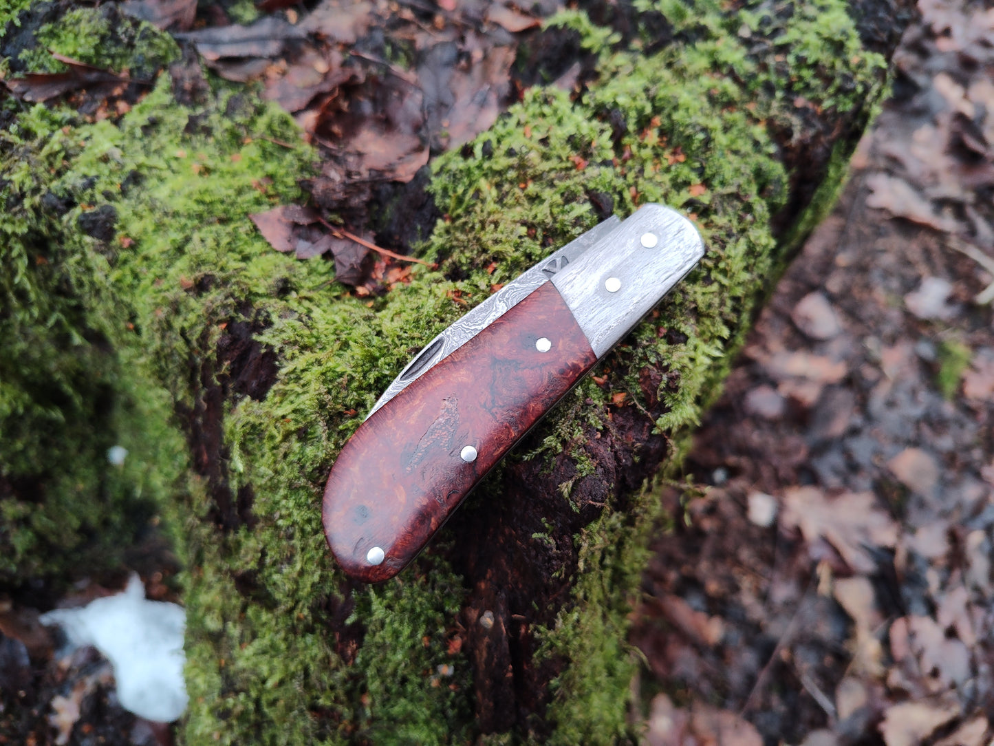 Hand-forged Wharncliffe Slipjoint / Pattern Welded Damascus Blade / Wrought Iron Bolsters and Beech Burl Scales / UK Legal Carry / Bog Yew & Antler Handle