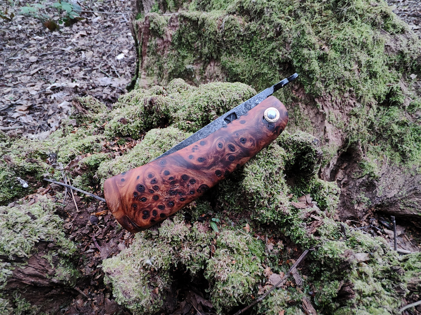 Hand-forged folding knife / Viking Friction Folder / Sheffcut Carbon Steel Blade with Yew Burl handle / UK Legal
