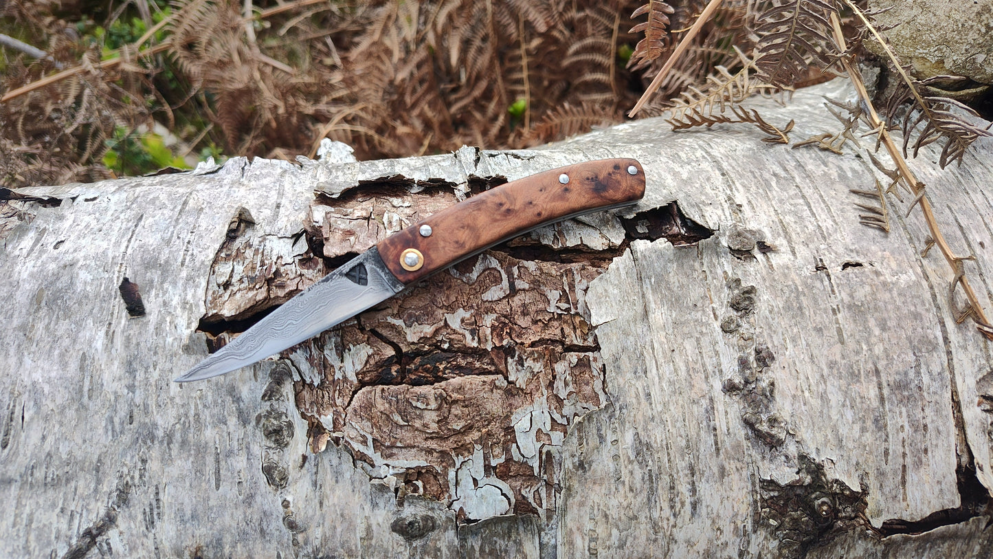 Hand-forged Slipjoint / Pattern-Welded San Mai blade with Thuya Burl Scales / UK Legal Pocketknife