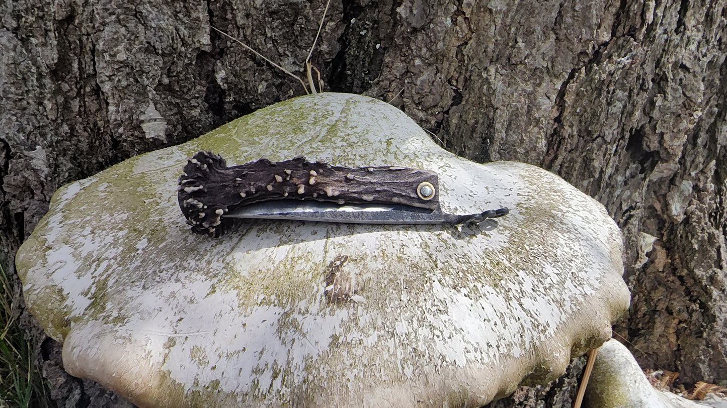 Hand-forged Viking friction folder / Scottish Roe Deer Antler Handle / 52100 Carbon Steel / UK Legal Pocket Knife