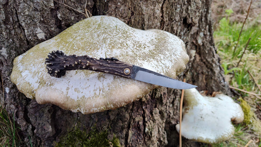 Hand-forged Viking friction folder / Scottish Roe Deer Antler Handle / 52100 Carbon Steel / UK Legal Pocket Knife