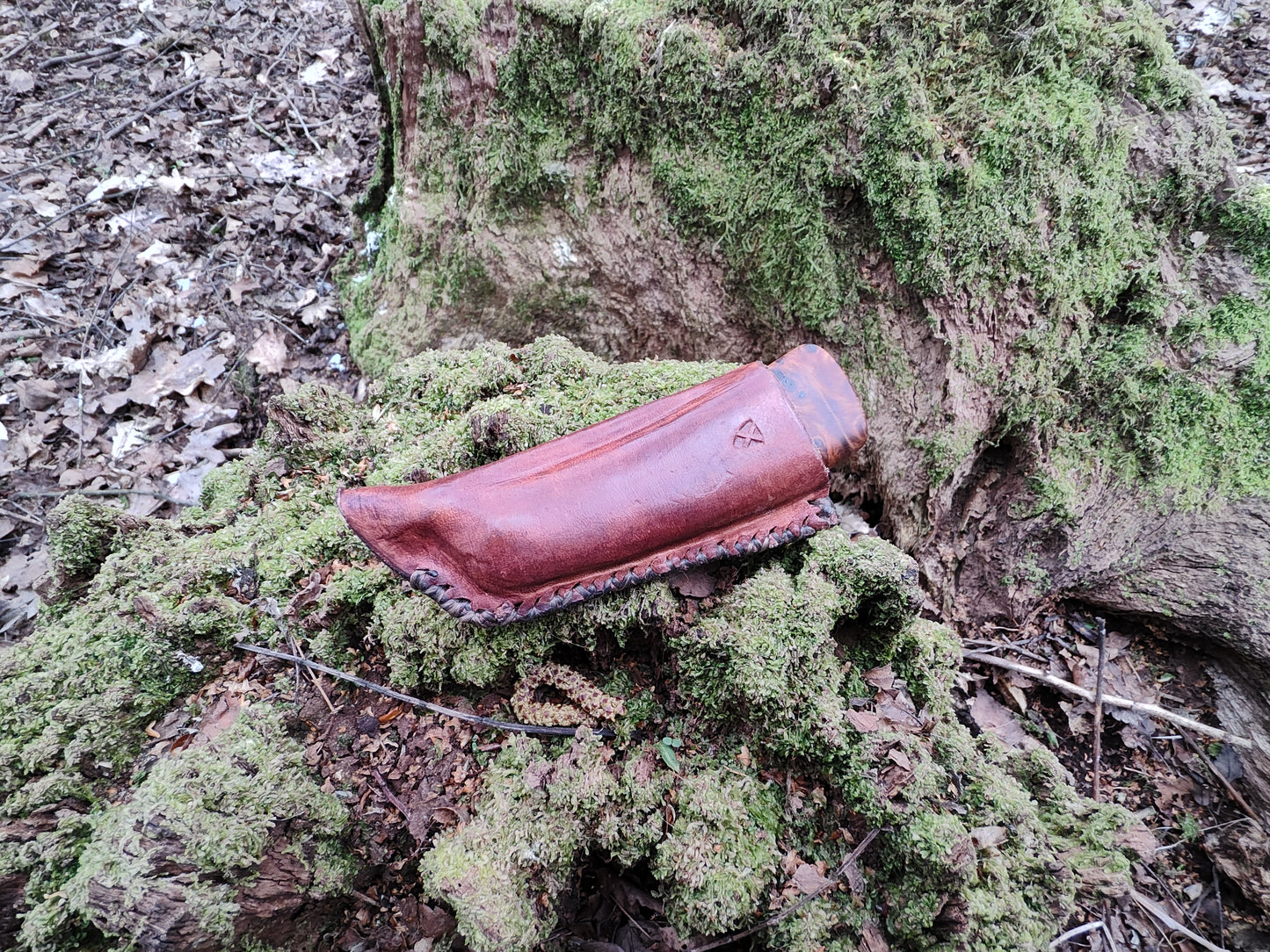 Hand-forged folding knife / Viking Friction Folder / Sheffcut Carbon Steel Blade with Yew Burl handle / UK Legal