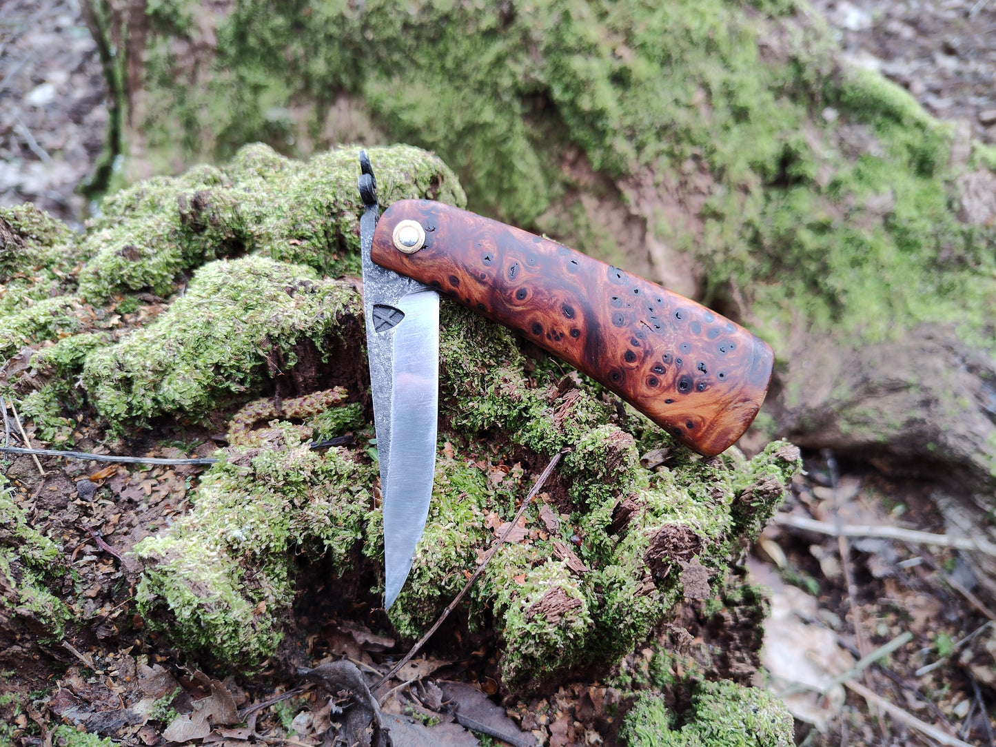 Hand-forged folding knife / Viking Friction Folder / Sheffcut Carbon Steel Blade with Yew Burl handle / UK Legal