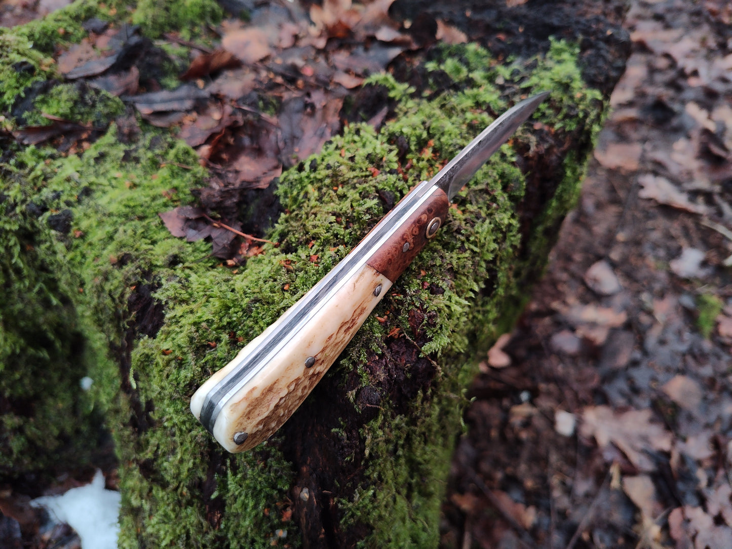 Hand-forged Wharncliffe Slipjoint / UK Legal Folding Knife / Carbon Steel Blade with Ash Burl & Stag Handle