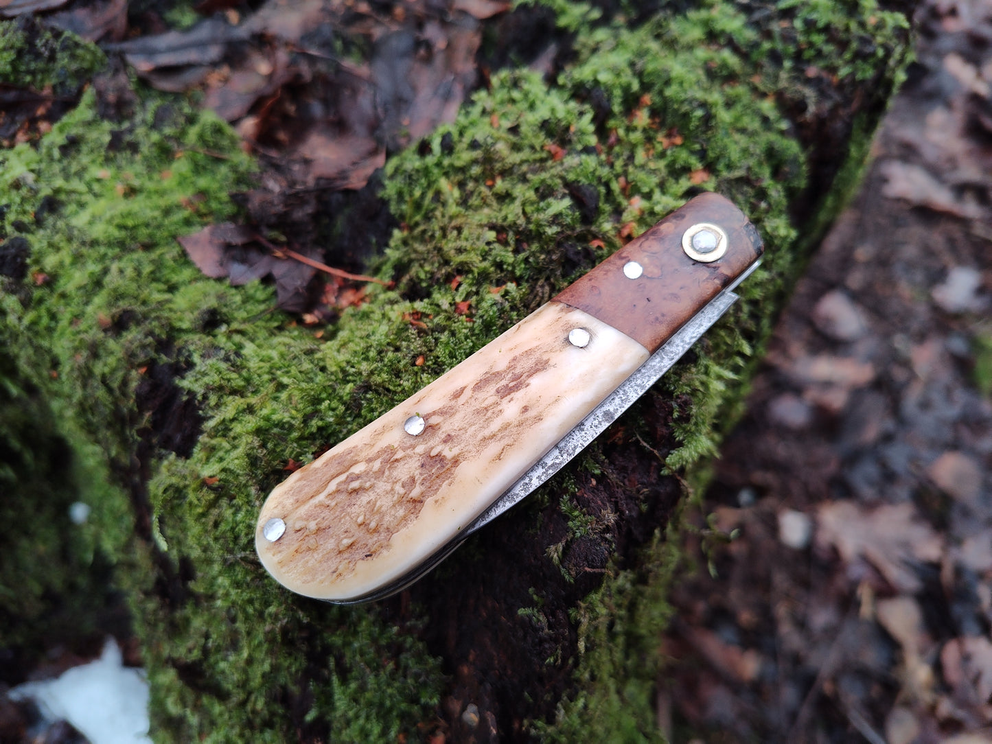 Hand-forged Wharncliffe Slipjoint / UK Legal Folding Knife / Carbon Steel Blade with Ash Burl & Stag Handle