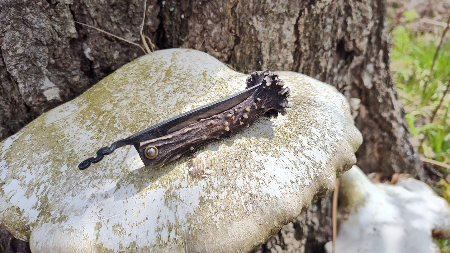 Hand-forged Viking friction folder / Scottish Roe Deer Antler Handle / 52100 Carbon Steel / UK Legal Pocket Knife