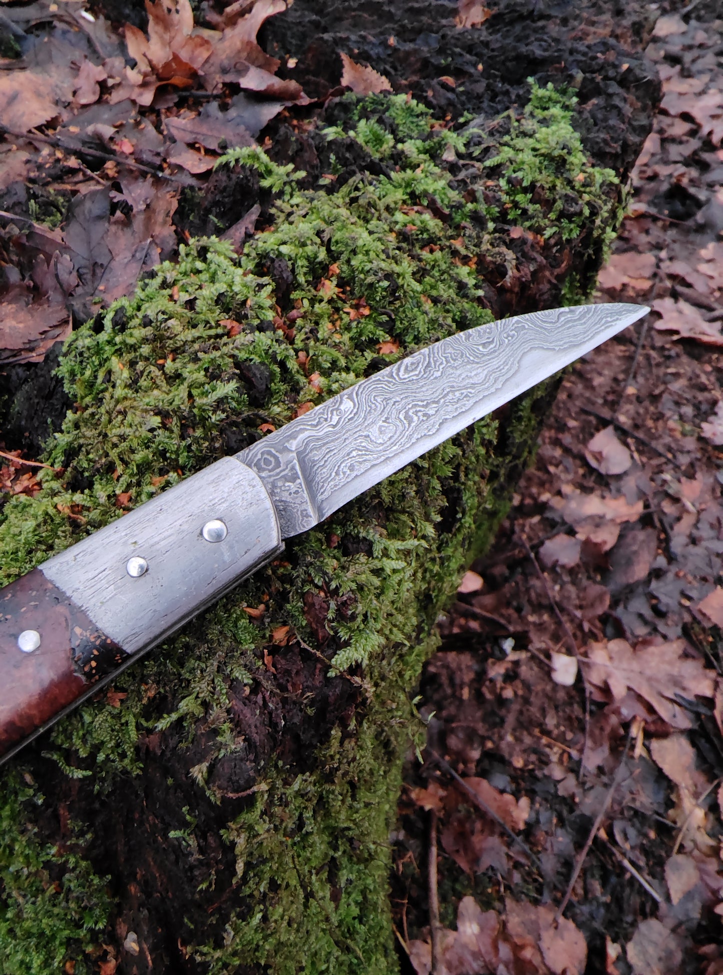 Hand-forged Wharncliffe Slipjoint / Pattern Welded Damascus Blade / Wrought Iron Bolsters and Beech Burl Scales / UK Legal Carry / Bog Yew & Antler Handle