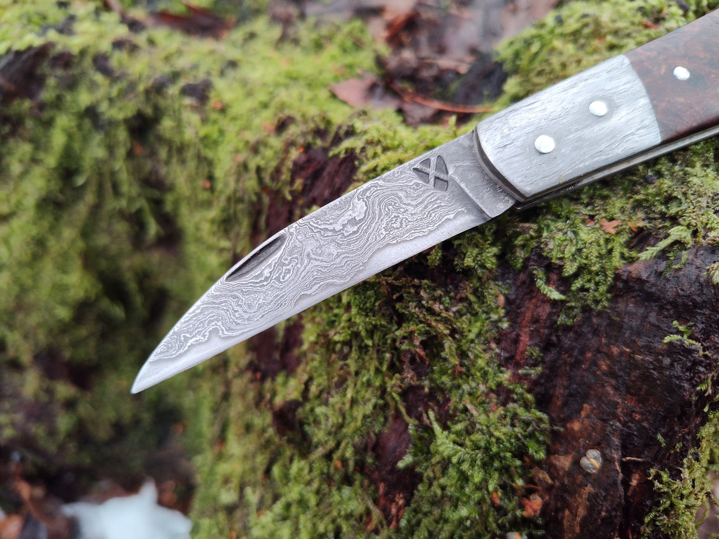 Hand-forged Wharncliffe Slipjoint / Pattern Welded Damascus Blade / Wrought Iron Bolsters and Beech Burl Scales / UK Legal Carry / Bog Yew & Antler Handle