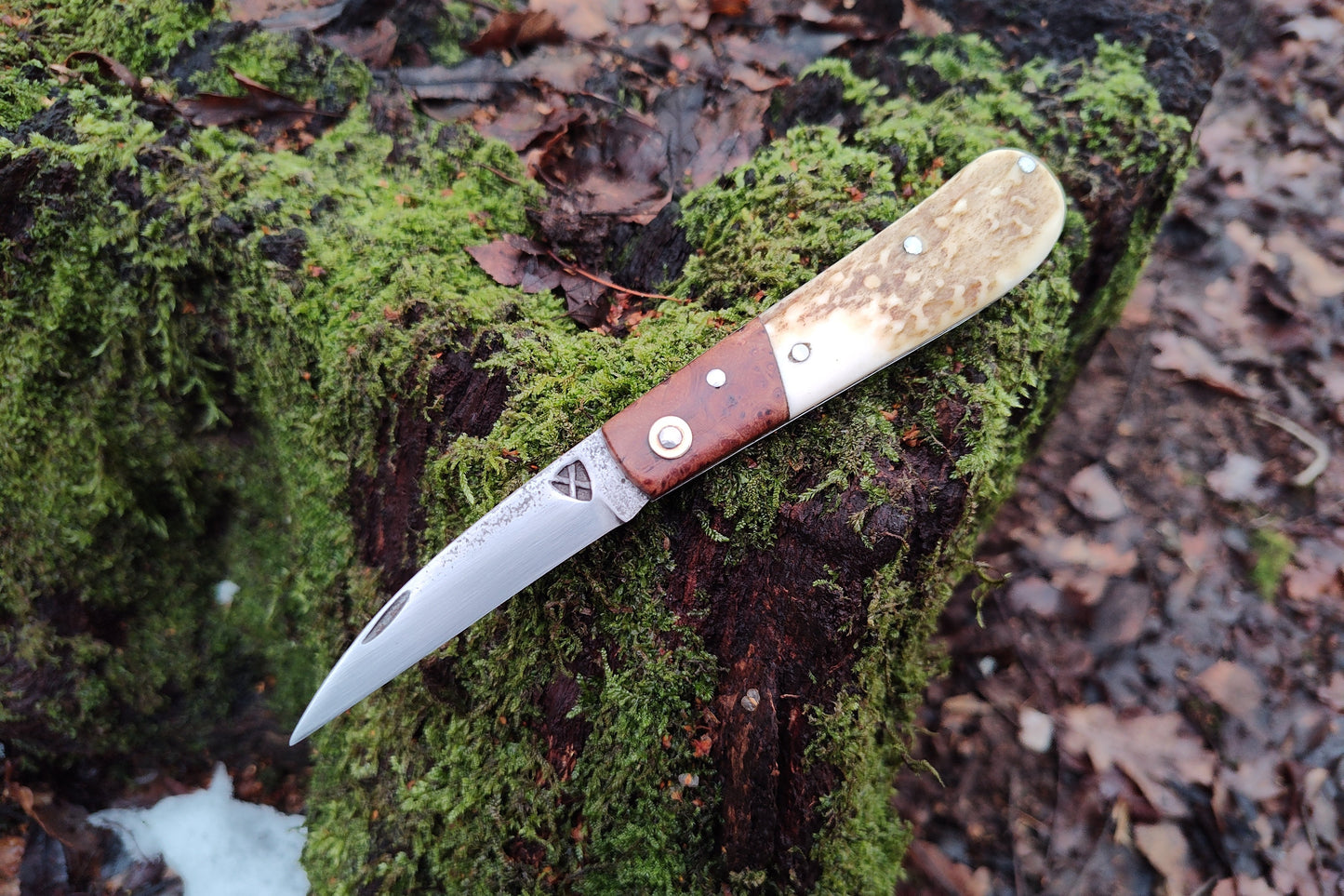 Hand-forged Wharncliffe Slipjoint / UK Legal Folding Knife / Carbon Steel Blade with Ash Burl & Stag Handle