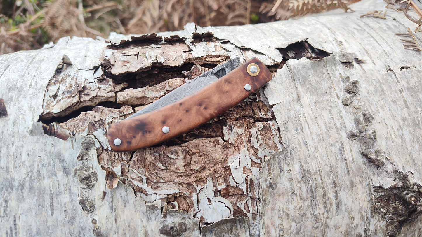 Hand-forged Slipjoint / Pattern-Welded San Mai blade with Thuya Burl Scales / UK Legal Pocketknife