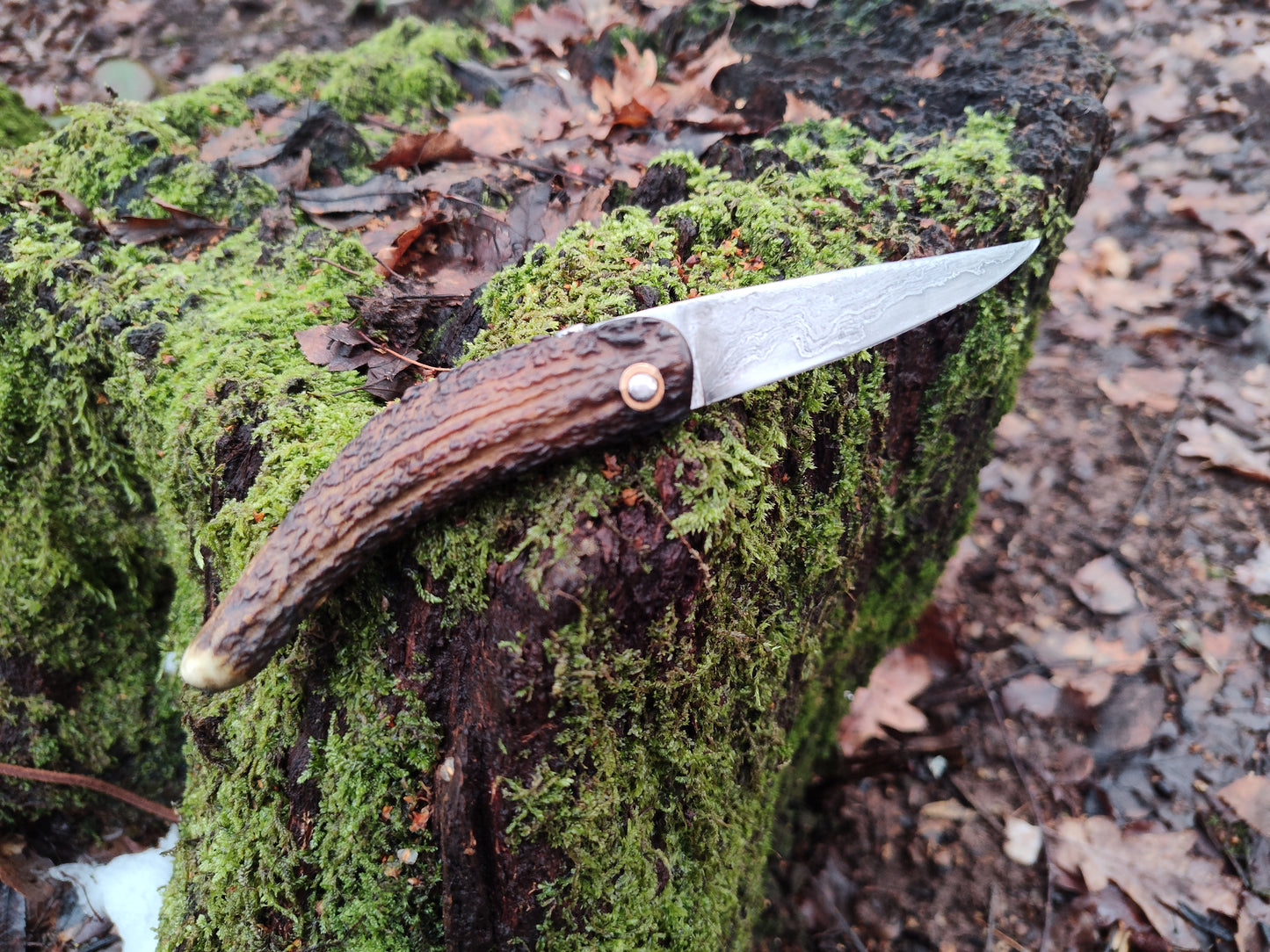 Primitive Mountain Man Friction Folder / Wrought Iron San Mai Blade / Stag handle / UK Legal Carry