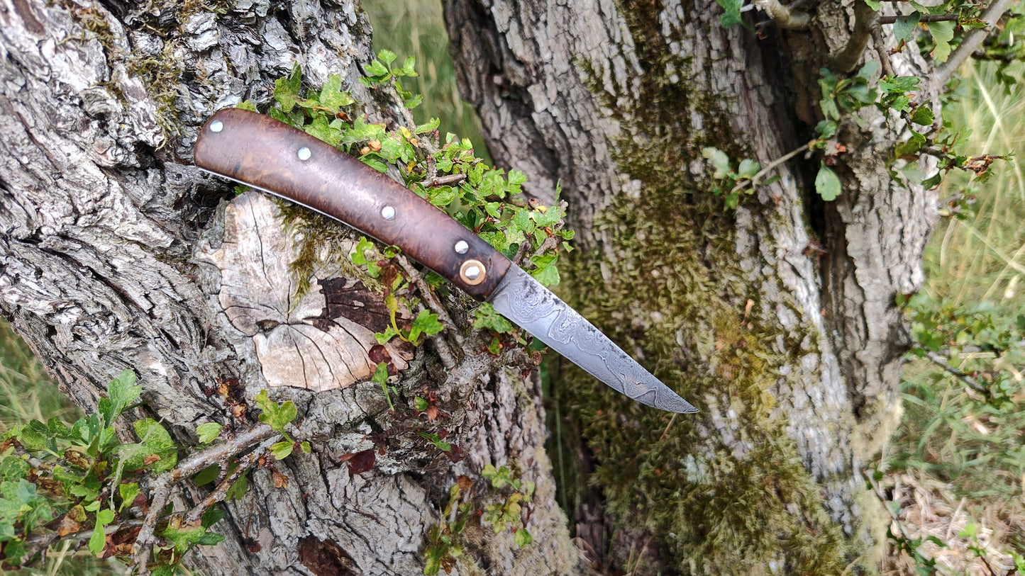 Hand-forged Folding Knife / Pattern-welded blade / Ash Burl Scales / Non-locking UK Legal Carry