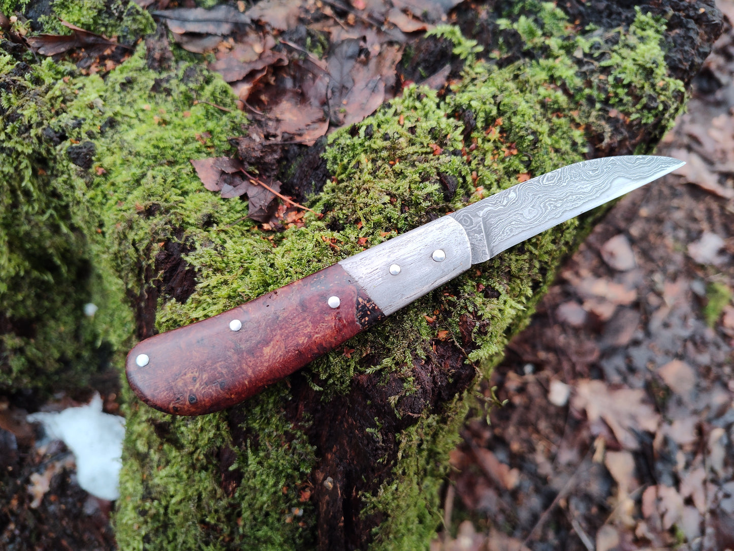 Hand-forged Wharncliffe Slipjoint / Pattern Welded Damascus Blade / Wrought Iron Bolsters and Beech Burl Scales / UK Legal Carry / Bog Yew & Antler Handle