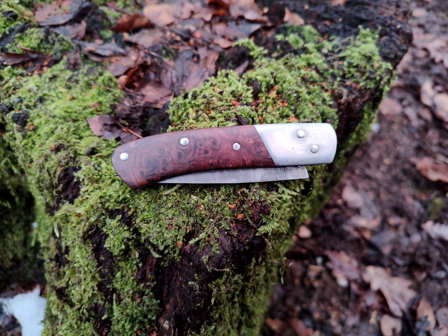 Hand-forged Folding Knife / Pattern-welded blade / Iron bolsters & Elm Burl Scales / Heavy duty slipjoint / Non-locking UK Legal Carry