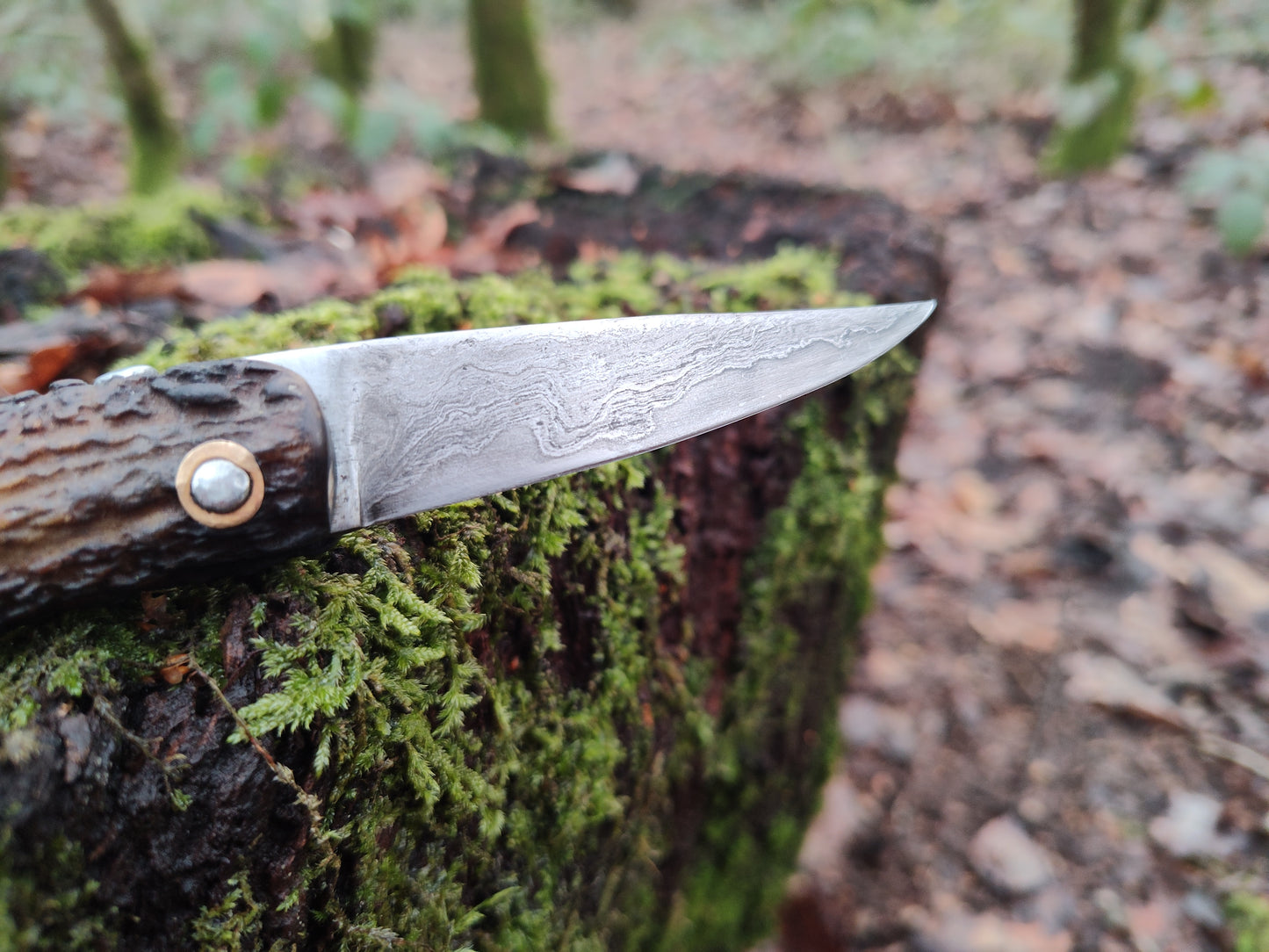 Primitive Mountain Man Friction Folder / Wrought Iron San Mai Blade / Stag handle / UK Legal Carry