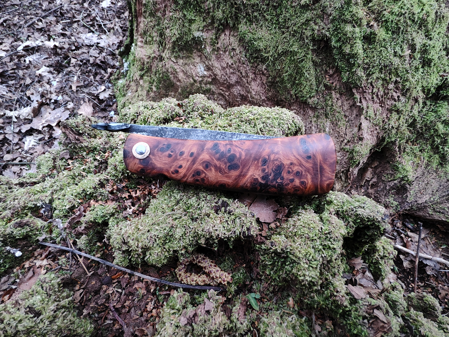 Hand-forged folding knife / Viking Friction Folder / Sheffcut Carbon Steel Blade with Yew Burl handle / UK Legal