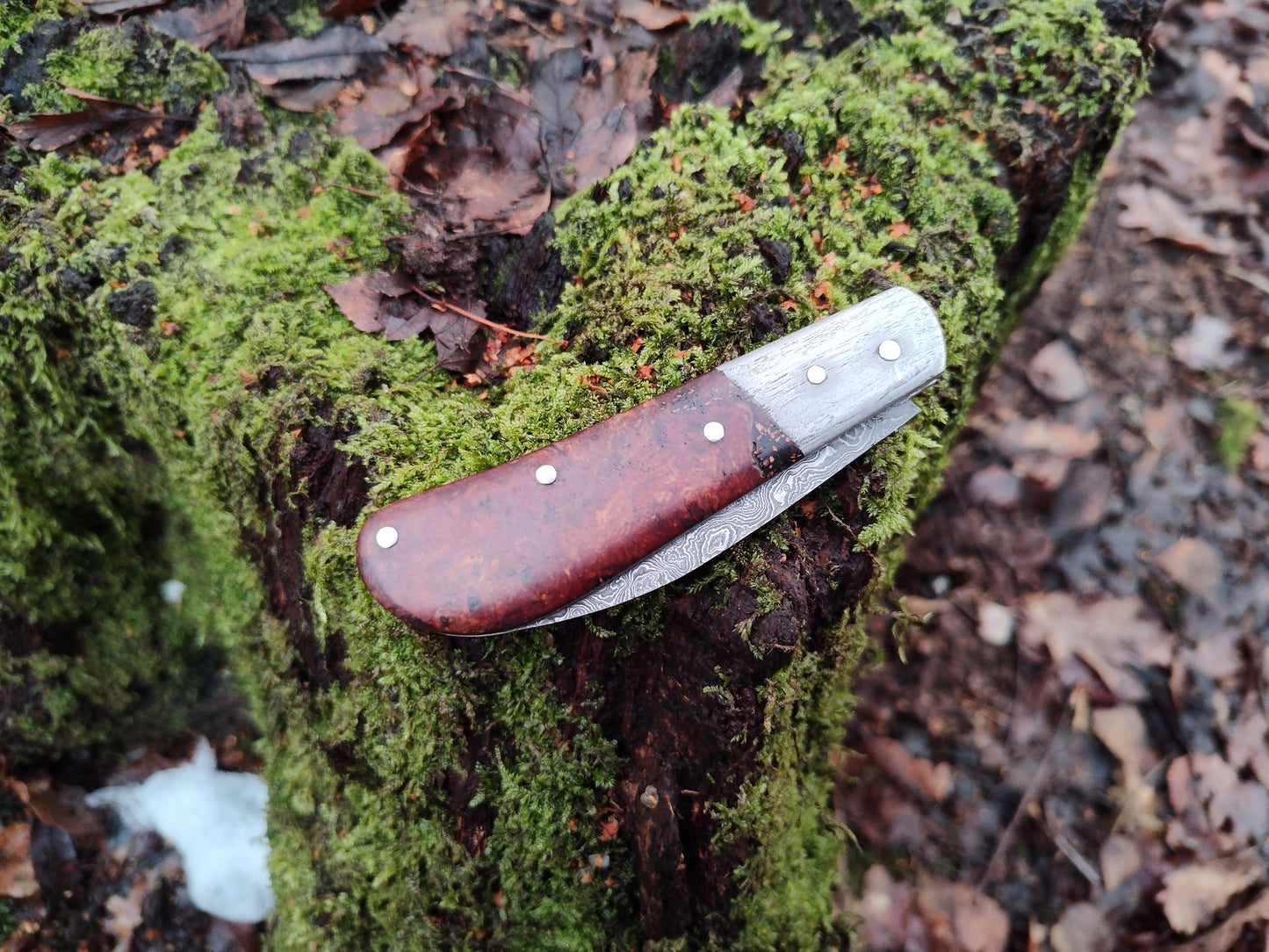 Hand-forged Wharncliffe Slipjoint / Pattern Welded Damascus Blade / Wrought Iron Bolsters and Beech Burl Scales / UK Legal Carry / Bog Yew & Antler Handle