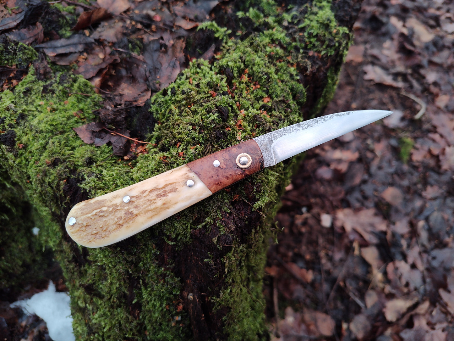 Hand-forged Wharncliffe Slipjoint / UK Legal Folding Knife / Carbon Steel Blade with Ash Burl & Stag Handle