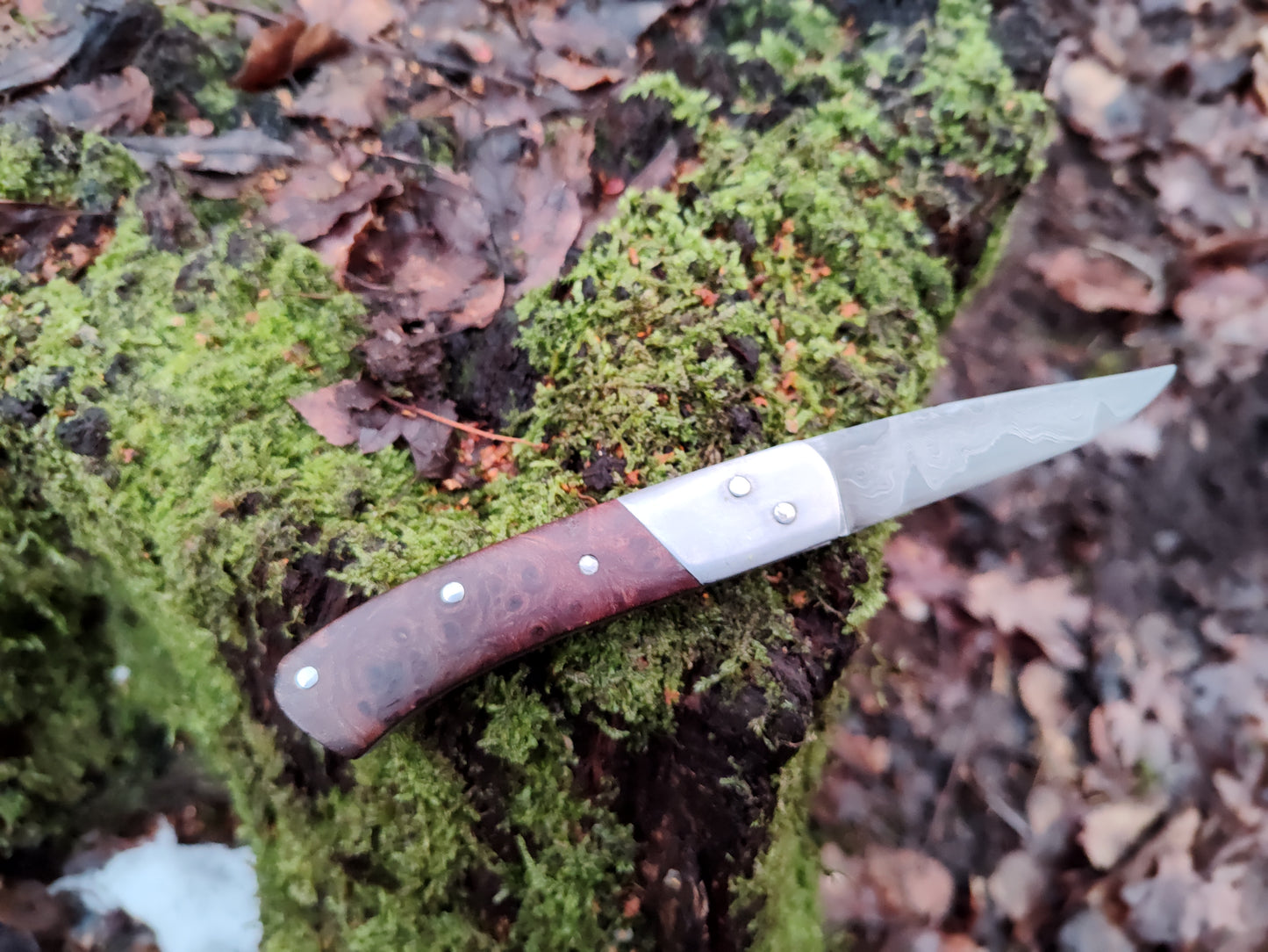 Hand-forged Folding Knife / Pattern-welded blade / Iron bolsters & Elm Burl Scales / Heavy duty slipjoint / Non-locking UK Legal Carry