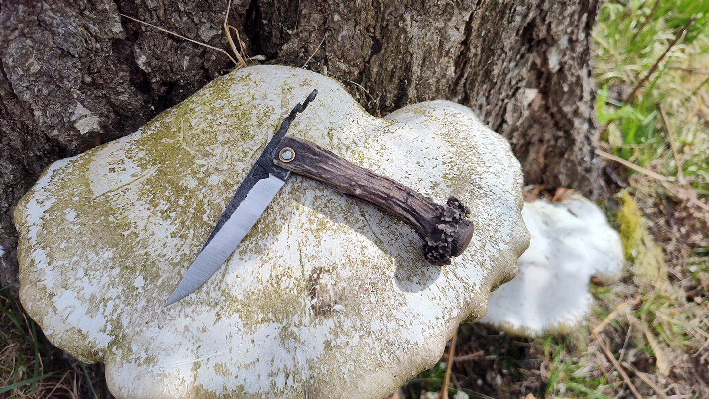 Hand-forged Viking friction folder / Scottish Roe Deer Antler Handle / 52100 Carbon Steel / UK Legal Pocket Knife