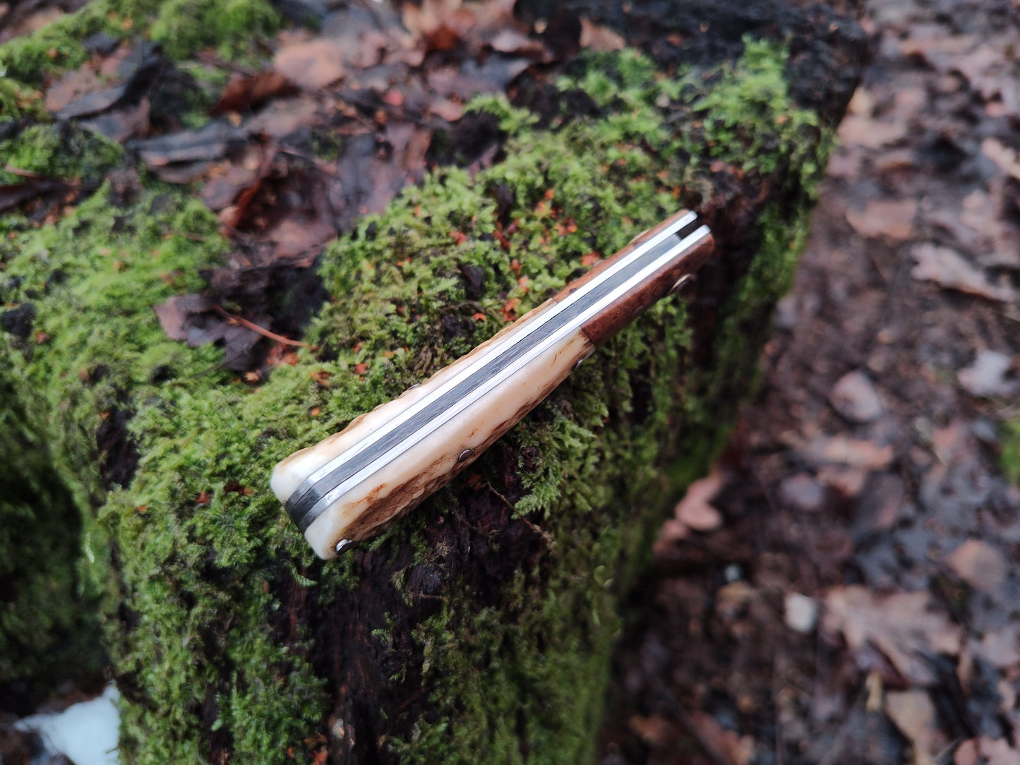 Hand-forged Wharncliffe Slipjoint / UK Legal Folding Knife / Carbon Steel Blade with Ash Burl & Stag Handle