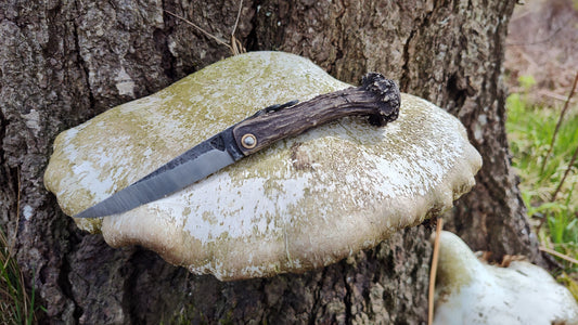 Hand-forged Viking friction folder / Scottish Roe Deer Antler Handle / 52100 Carbon Steel / UK Legal Pocket Knife
