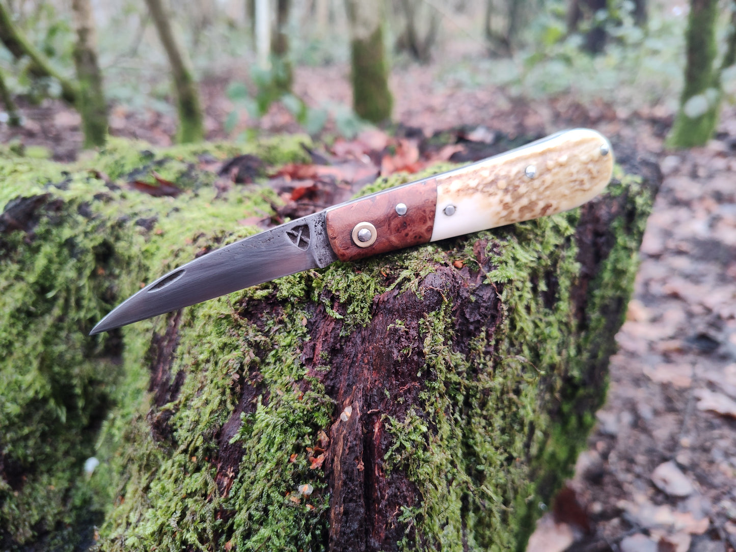 Hand-forged Wharncliffe Slipjoint / UK Legal Folding Knife / Carbon Steel Blade with Ash Burl & Stag Handle