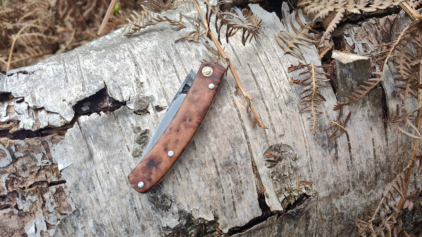 Hand-forged Slipjoint / Pattern-Welded San Mai blade with Thuya Burl Scales / UK Legal Pocketknife