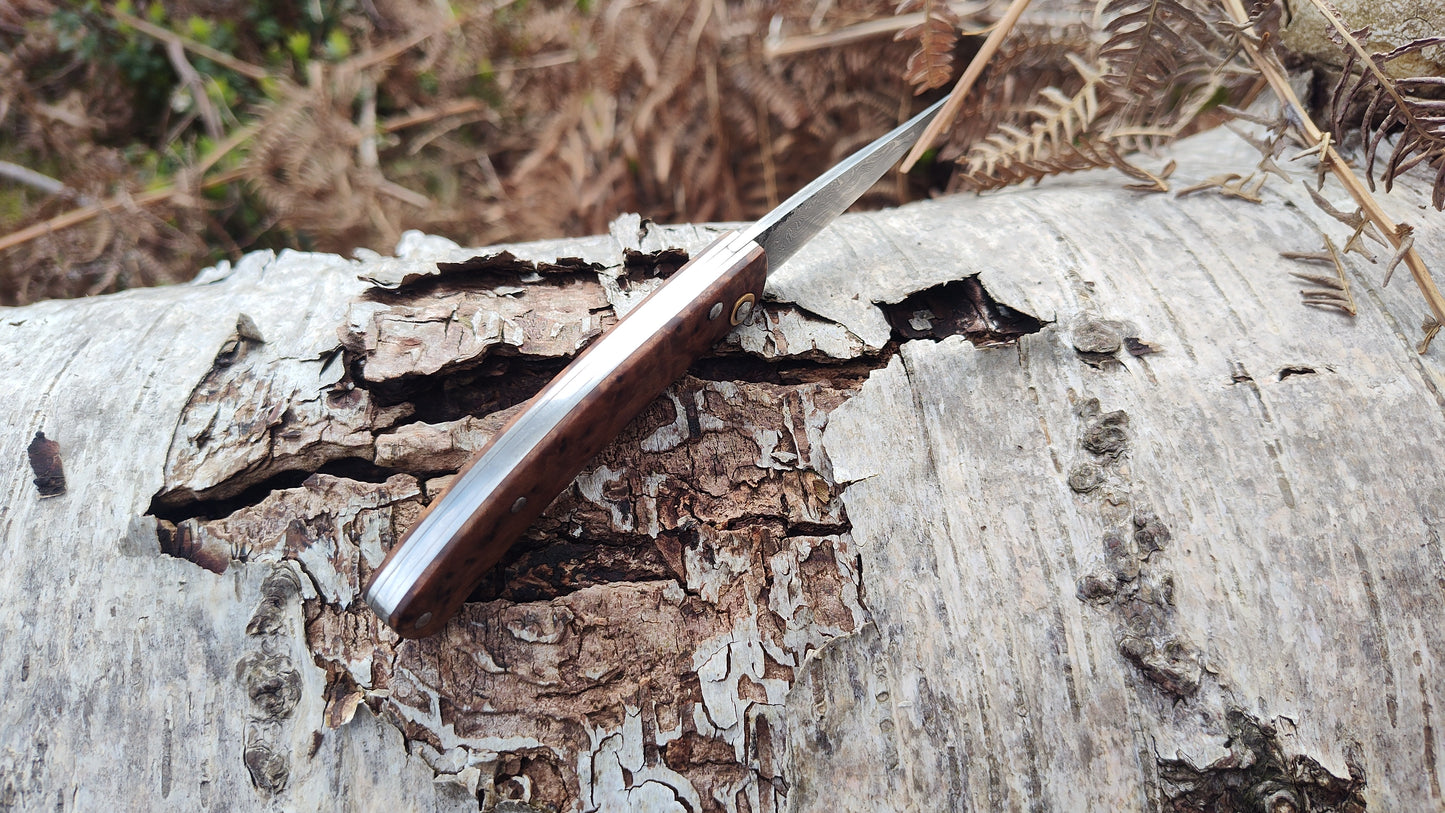 Hand-forged Slipjoint / Pattern-Welded San Mai blade with Thuya Burl Scales / UK Legal Pocketknife