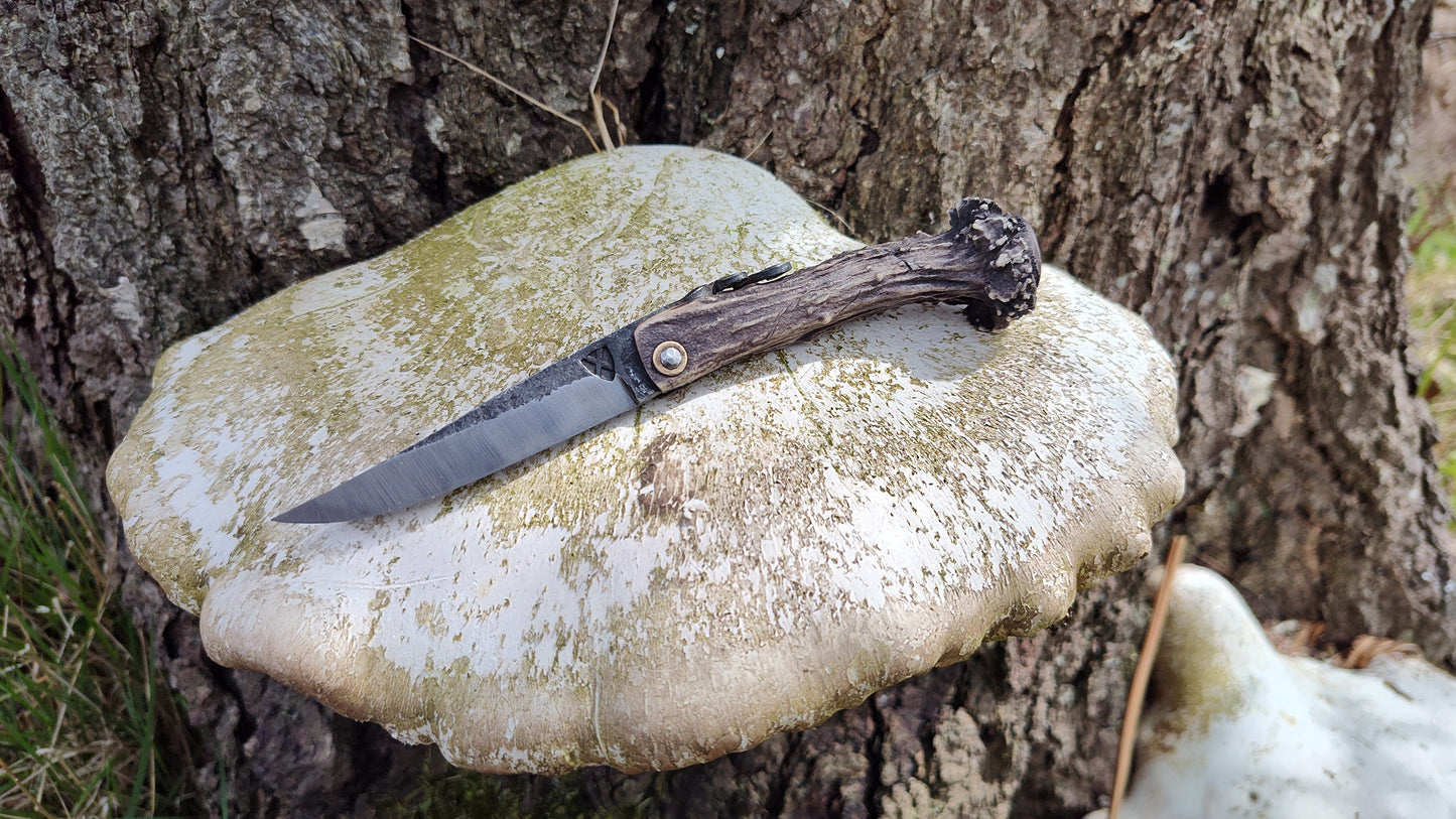 Hand-forged Viking friction folder / Scottish Roe Deer Antler Handle / 52100 Carbon Steel / UK Legal Pocket Knife