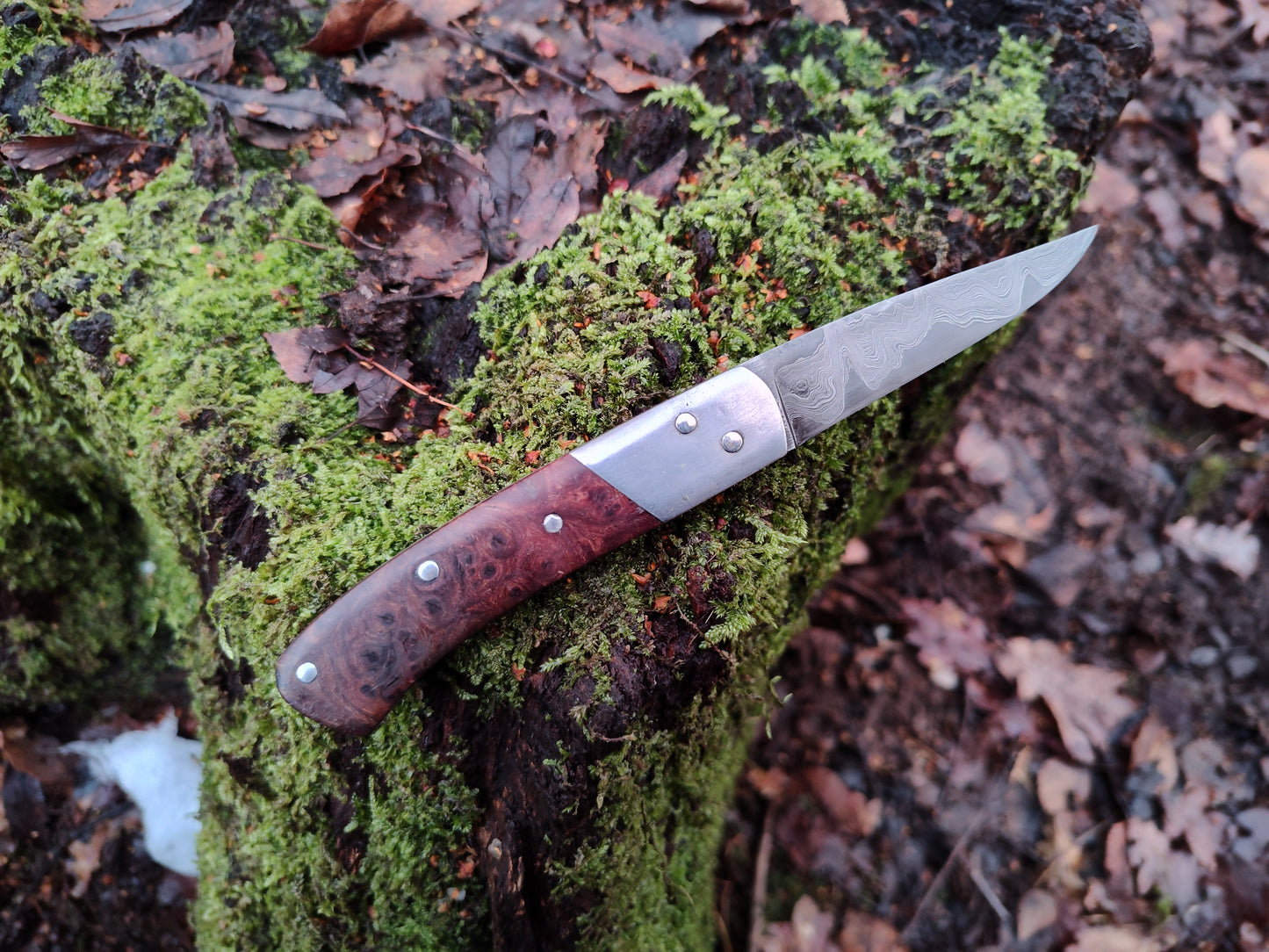 Hand-forged Folding Knife / Pattern-welded blade / Iron bolsters & Elm Burl Scales / Heavy duty slipjoint / Non-locking UK Legal Carry