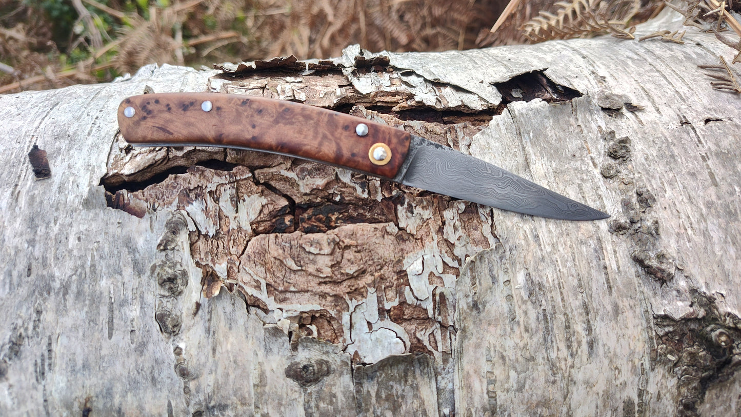Hand-forged Slipjoint / Pattern-Welded San Mai blade with Thuya Burl Scales / UK Legal Pocketknife